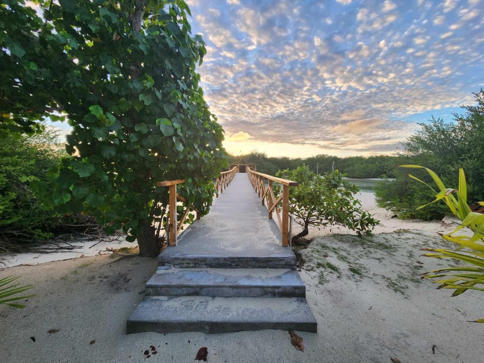 Surf Deck Hotel Thulusdhoo Luaran gambar